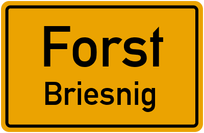 Straßenverzeichnis Forst Briesnig