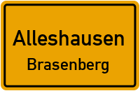 Dorfstraße in AlleshausenBrasenberg
