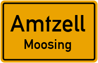 Moosing in AmtzellMoosing