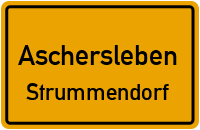 Hauptstraße in AscherslebenStrummendorf