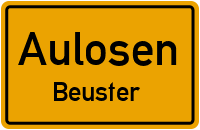 Straßen in Aulosen Beuster