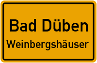 Siedlungsallee in Bad DübenWeinbergshäuser
