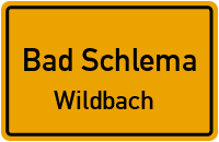 Wiesenstraße in Bad SchlemaWildbach