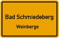 Grüne Straße in Bad SchmiedebergWeinberge