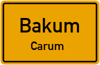 Straßenverzeichnis Bakum Carum