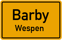 Graseweg in BarbyWespen