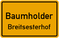 L 176 in BaumholderBreitsesterhof