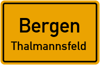 Hollerie in BergenThalmannsfeld
