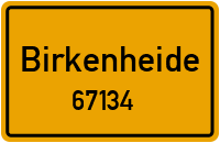 67134 Birkenheide