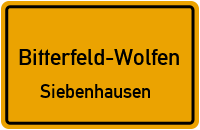 An Der Straße Nach Salzfurtkapelle in Bitterfeld-WolfenSiebenhausen