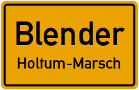 Blenderweide in BlenderHoltum-Marsch
