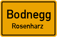 Schillerstraße in BodneggRosenharz