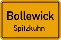 Eichenallee in BollewickSpitzkuhn