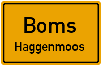 Altshauser Straße in BomsHaggenmoos
