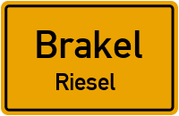 Riesel