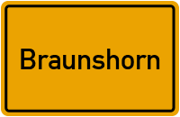 City Sign Braunshorn
