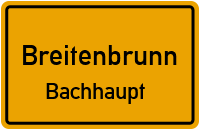 Bachhaupt in BreitenbrunnBachhaupt