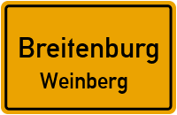 Weinberg in BreitenburgWeinberg
