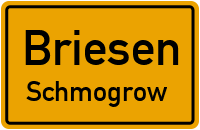 Friedhofsweg in BriesenSchmogrow