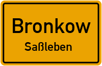Schulweg in BronkowSaßleben