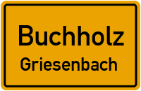 Hohlweg in BuchholzGriesenbach