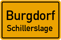 Buchweizenfeld in BurgdorfSchillerslage