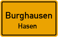 Hasen in BurghausenHasen