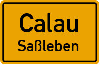 Saßlebener Dorfstraße in CalauSaßleben