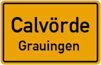 Piplockenburg in CalvördeGrauingen