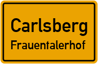 Dorfstraße in CarlsbergFrauentalerhof
