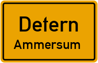 Polderweg in DeternAmmersum