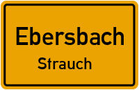 Am Anger in EbersbachStrauch