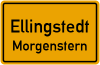 Morgenstern in 24870 Ellingstedt (Morgenstern)