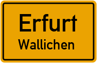 Wallichen