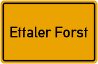 Fürstenweg in Ettaler Forst