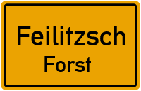 Sättelstraße in FeilitzschForst