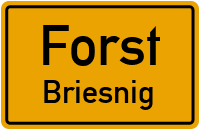Briesniger Hauptstraße in ForstBriesnig