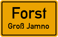 Urwaldstraße in ForstGroß Jamno