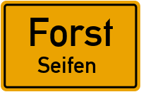 Forster Straße in ForstSeifen