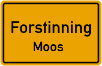 Römerstraße in ForstinningMoos