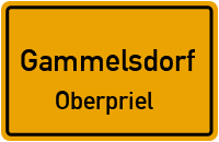Straßen in Gammelsdorf Oberpriel