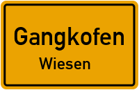 Wiesen in 84140 Gangkofen (Wiesen)
