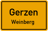 Weinberg in GerzenWeinberg