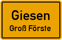 Weserstraße in GiesenGroß Förste