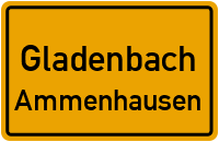 Biedenkopfer Straße in 35075 Gladenbach (Ammenhausen)