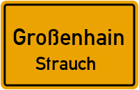 Hirschfelder Straße in GroßenhainStrauch