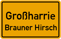 Brauner Hirsch in GroßharrieBrauner Hirsch