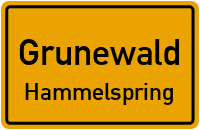 Straßen in Grunewald Hammelspring