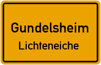 Am Fürstenweg in GundelsheimLichteneiche