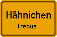 Stannewischer Weg in HähnichenTrebus